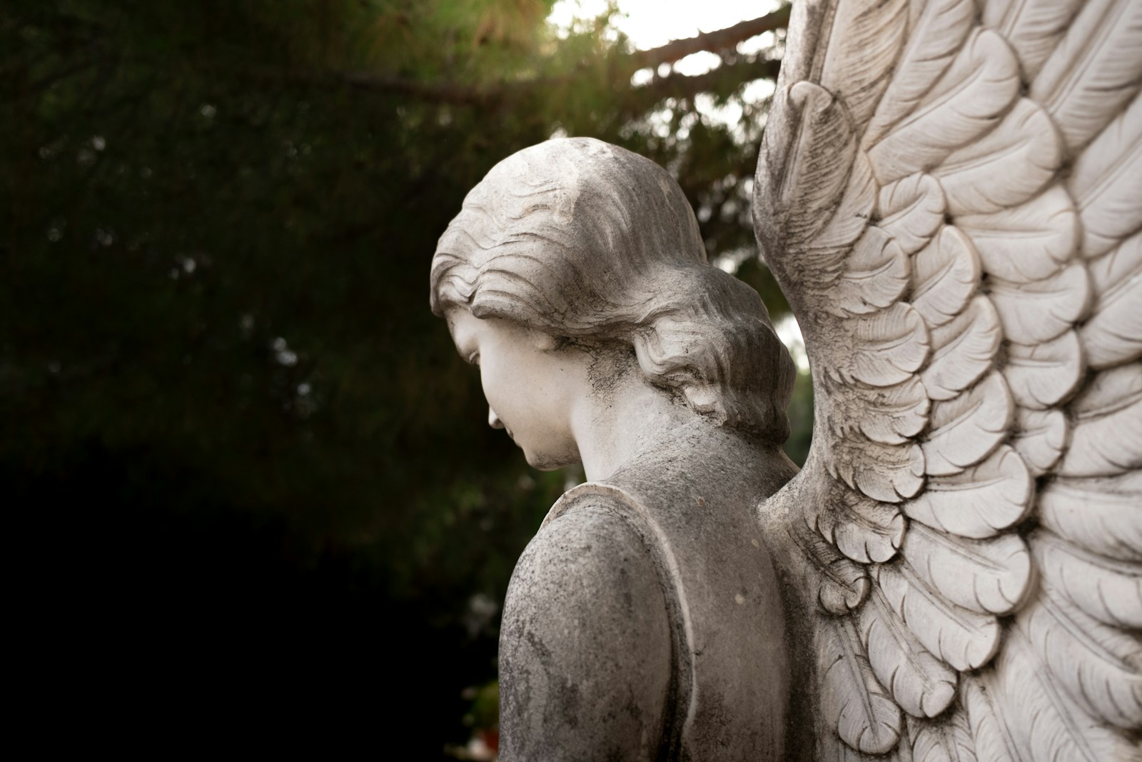 A close up of a statue of an angel