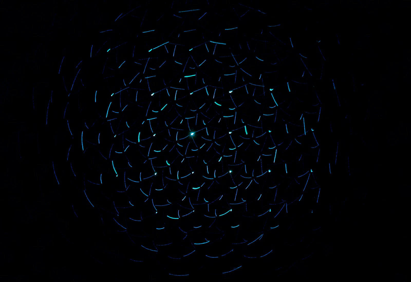 light decorations in dark area