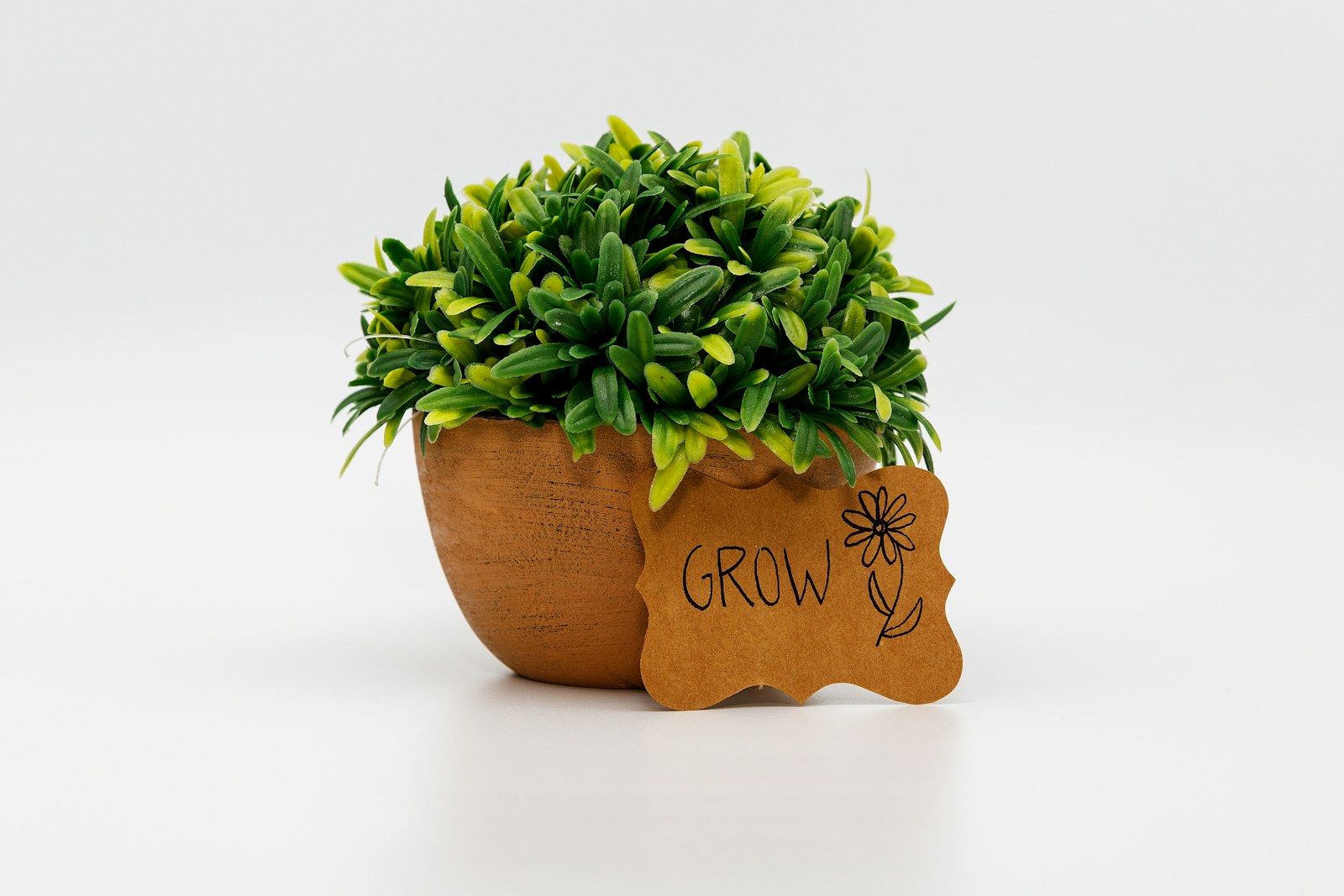 A small potted plant with a "grow" sign