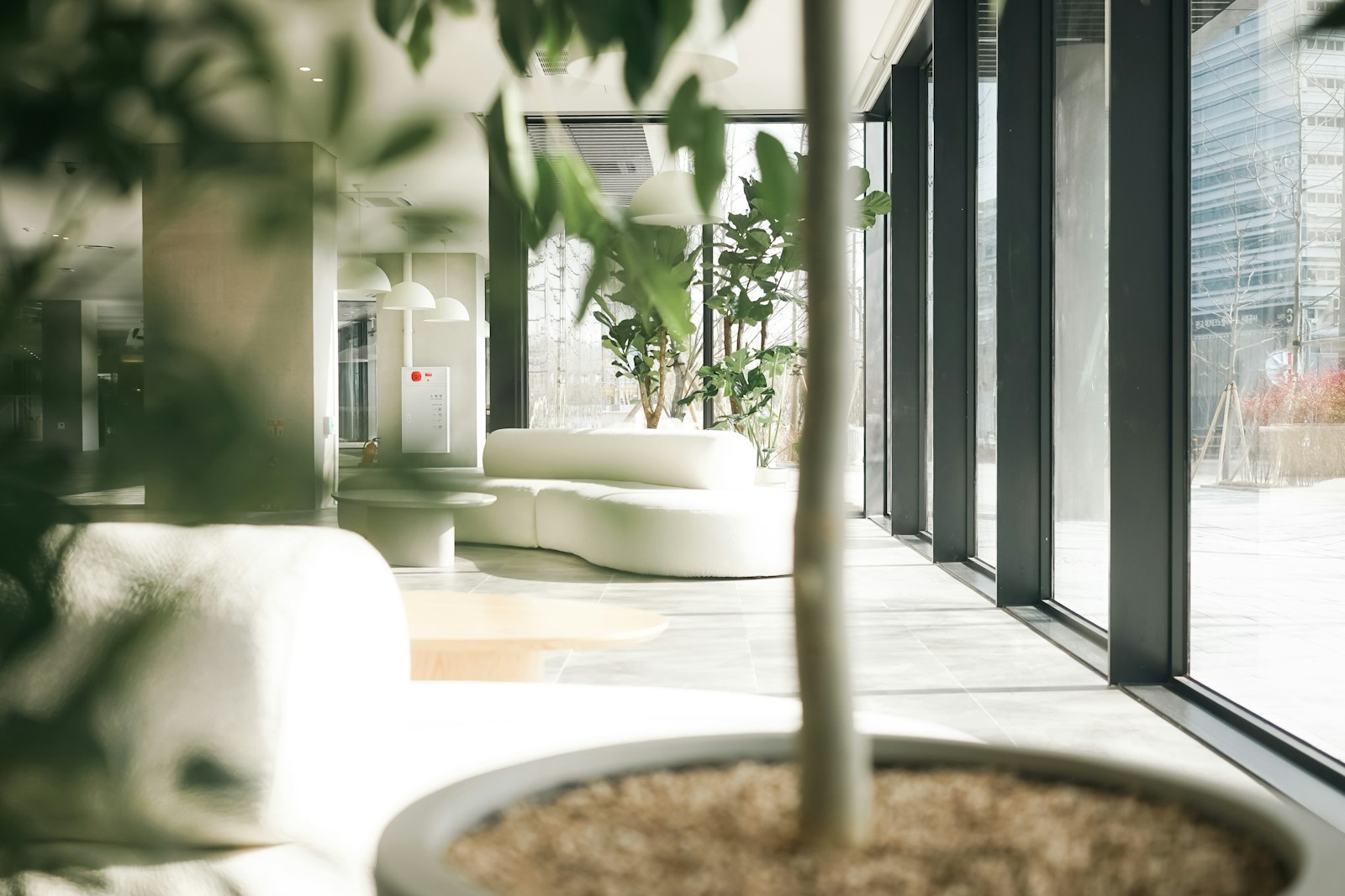 a living room with a couch and a potted plant