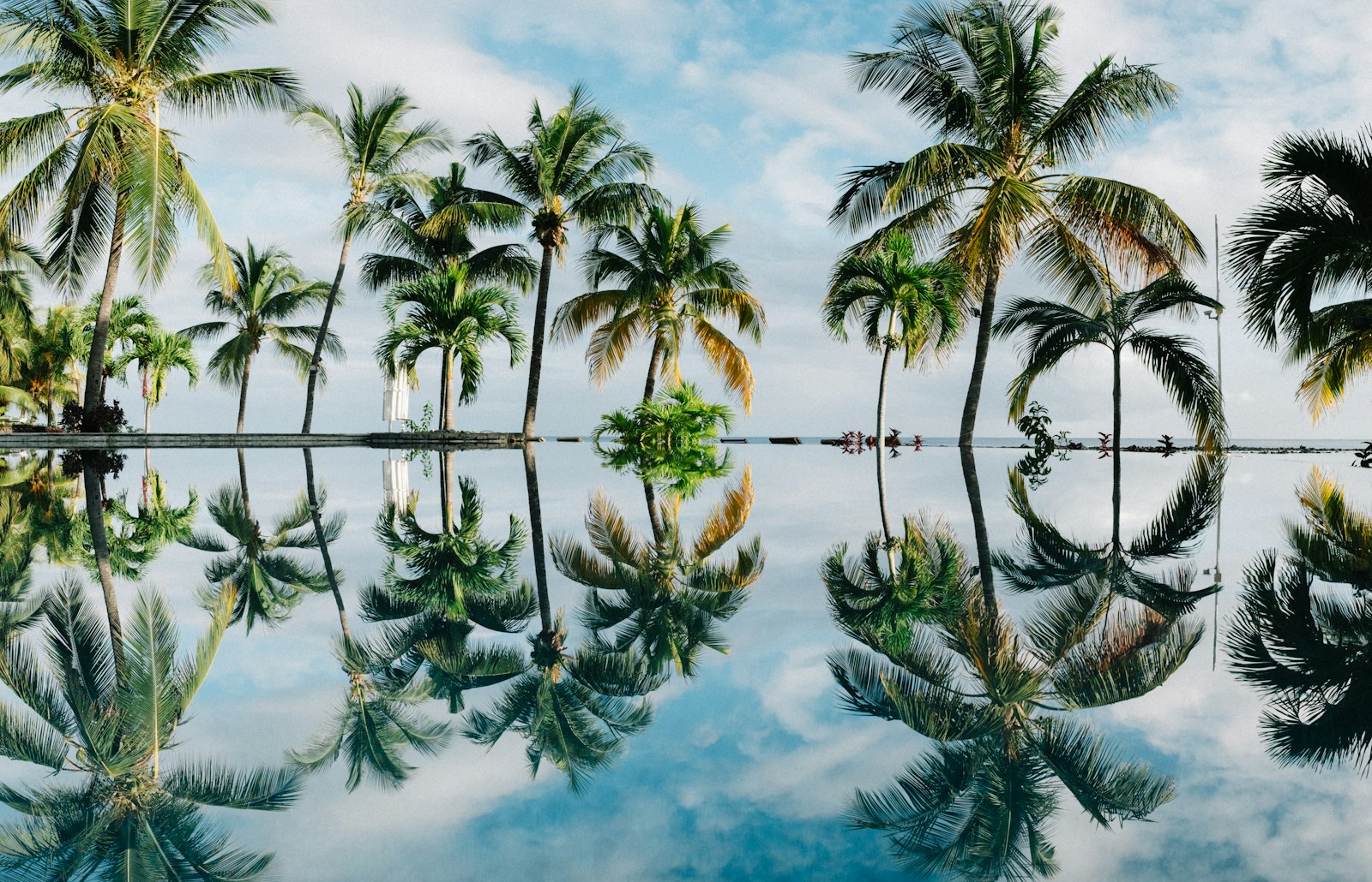 water reflection of coconut palm trees