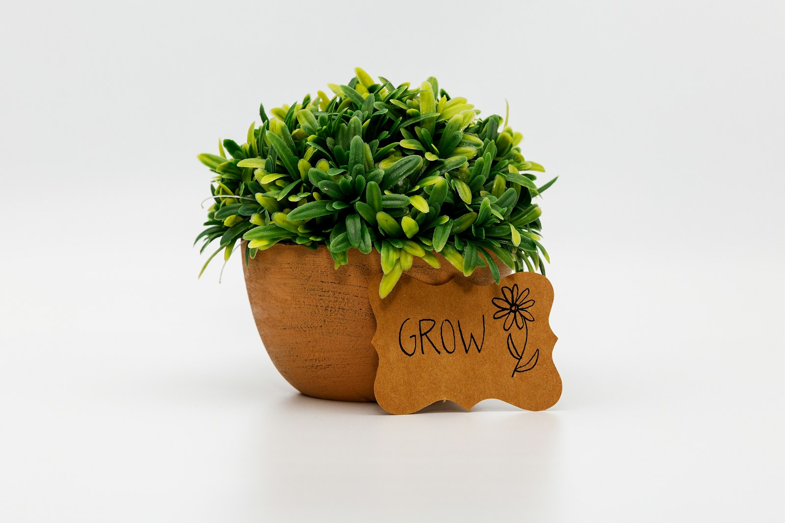 A small potted plant with a "grow" sign