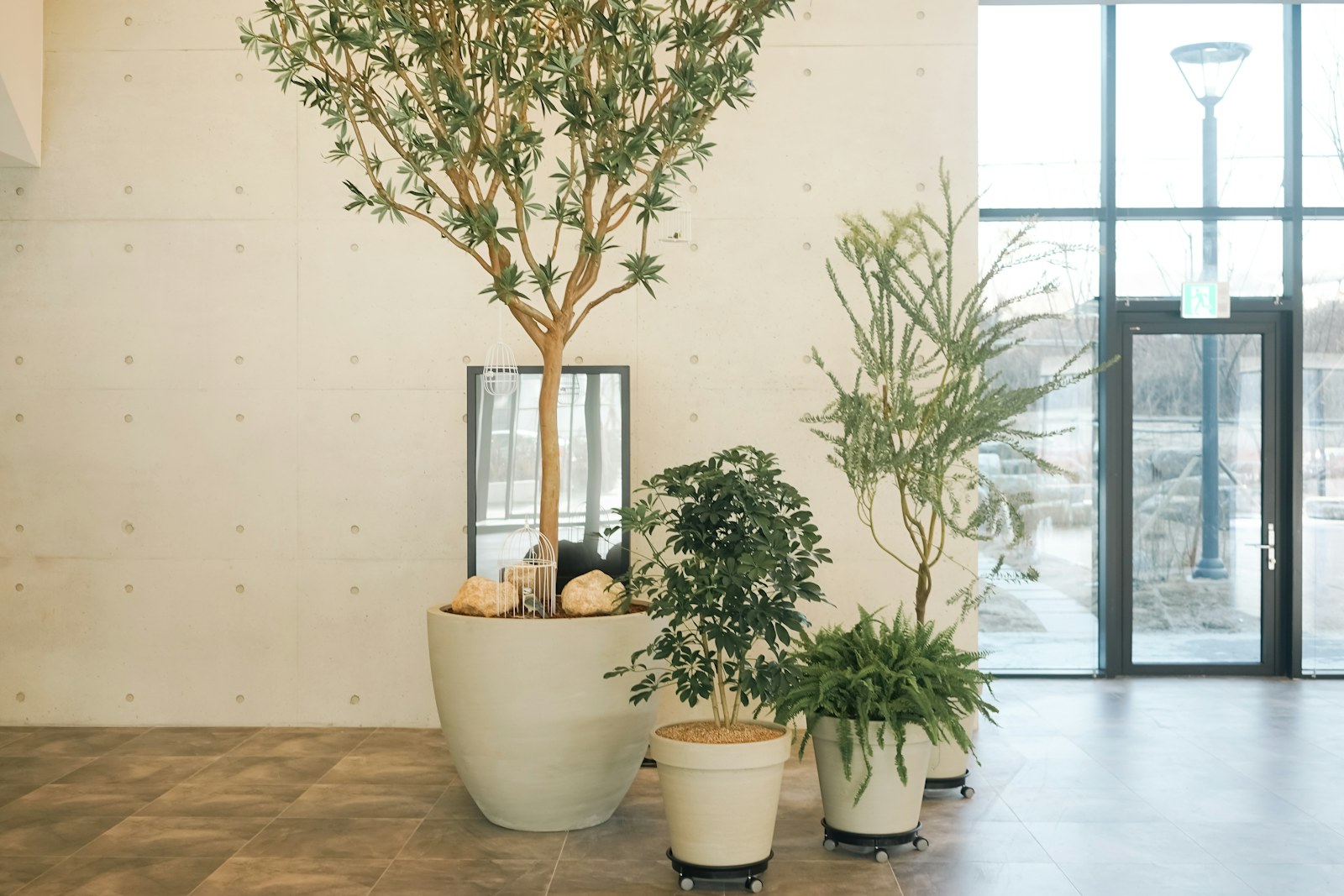 three potted plants sitting on top of a tiled floor